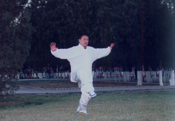 拳照