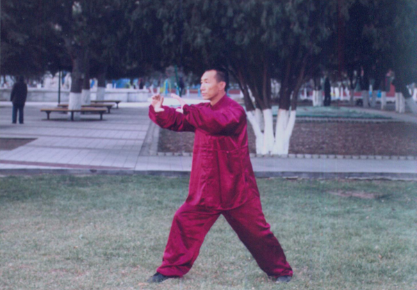 拳照