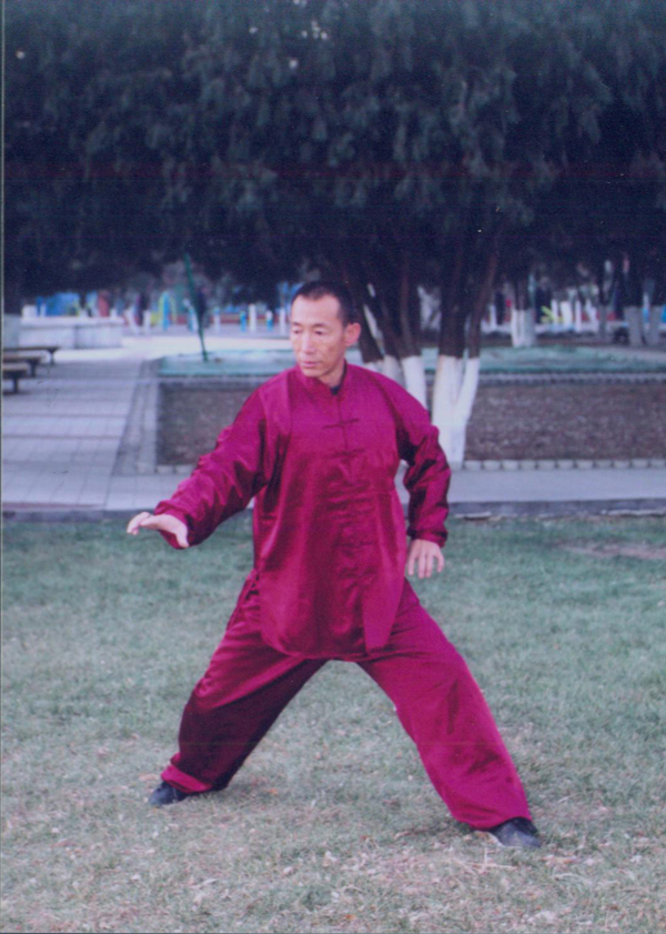 拳照