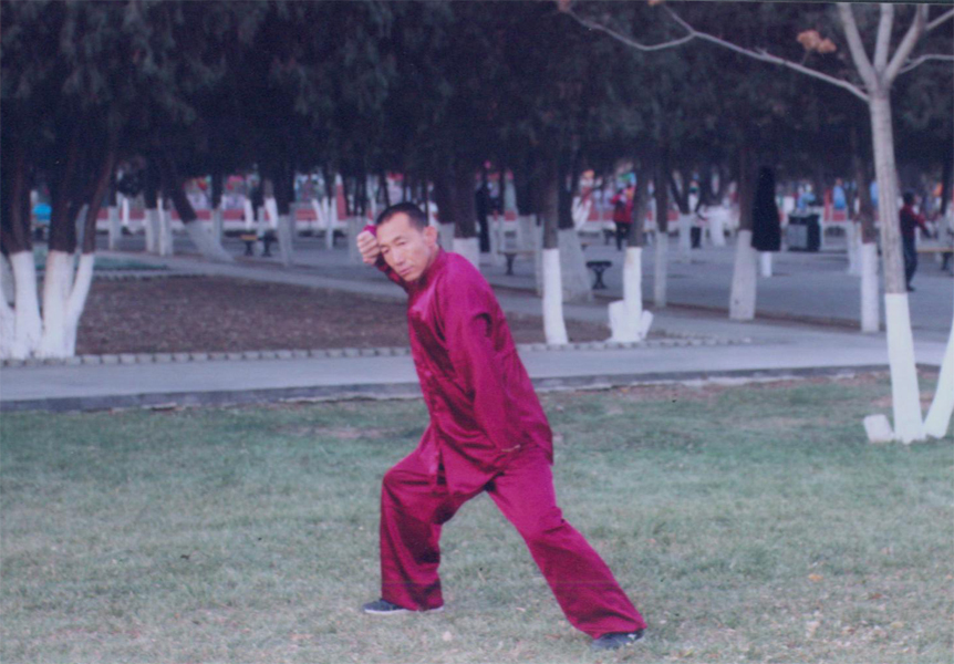 拳照
