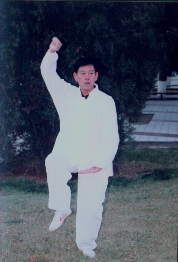 拳照