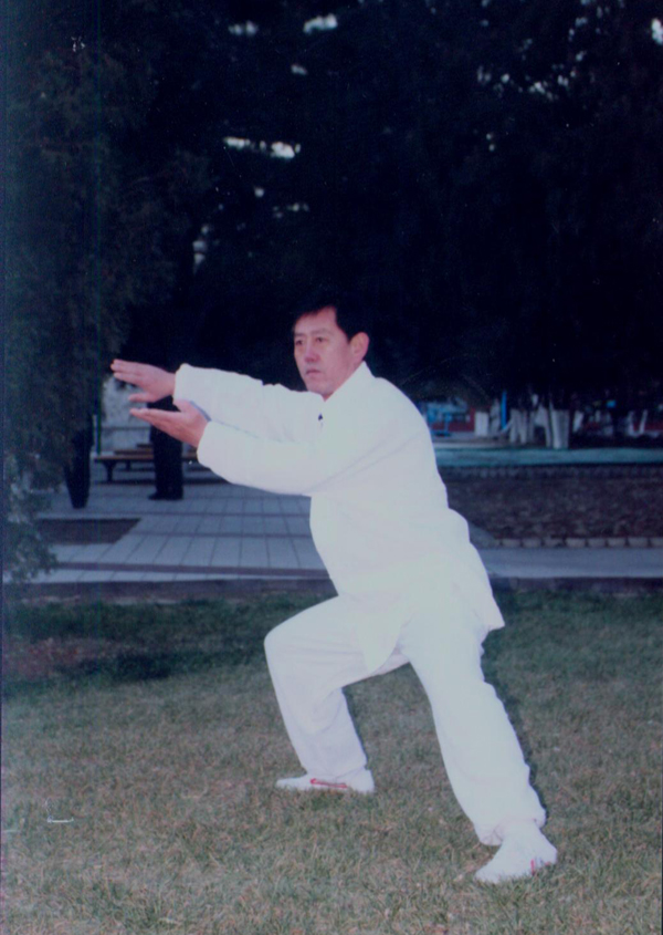 拳照