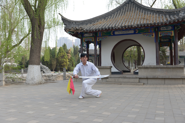 拳照