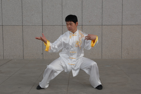 拳照