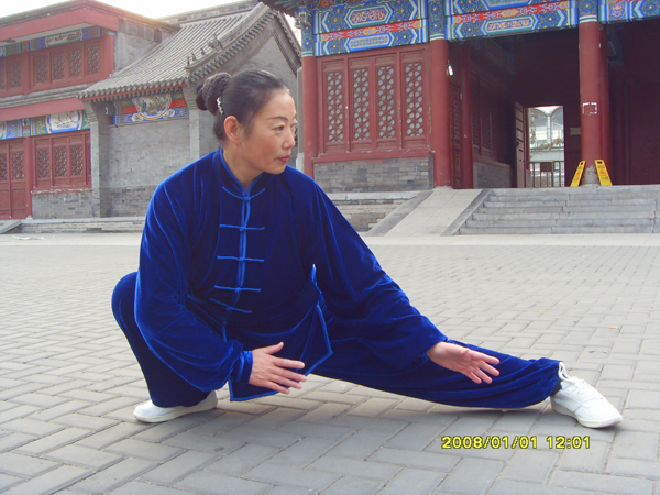 拳照