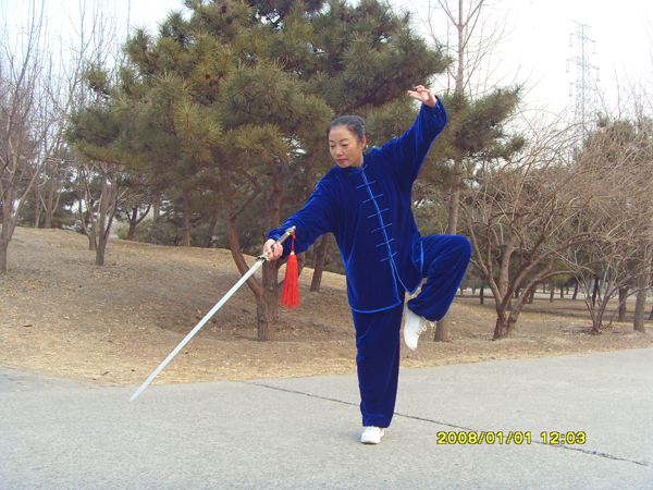 拳照