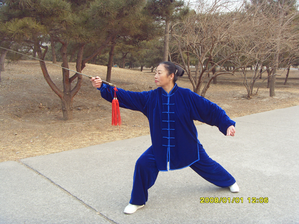 拳照