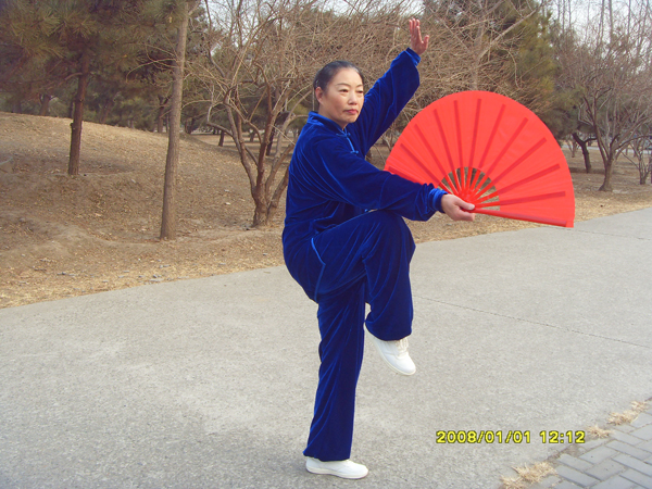 拳照
