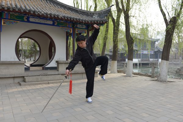 拳照