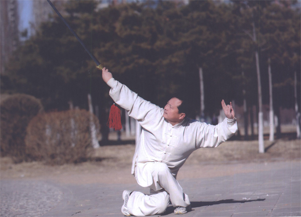 拳照