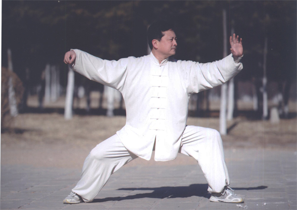 拳照