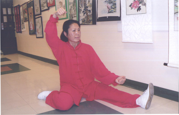 拳照
