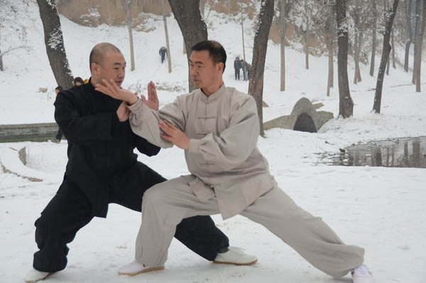 拳照