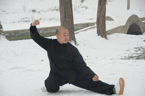 拳照