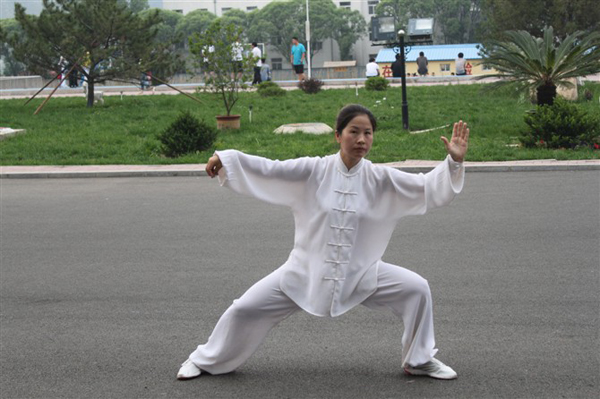 拳照