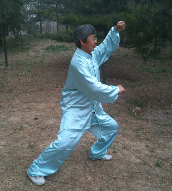 拳照