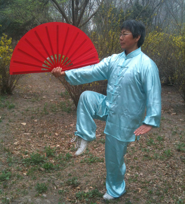 拳照