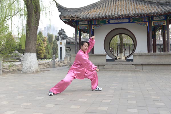 拳照