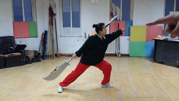 拳照