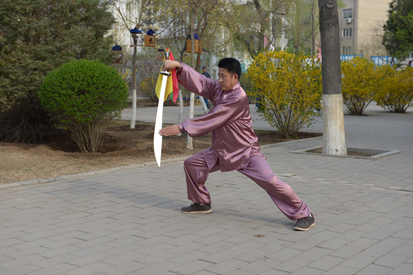 拳照