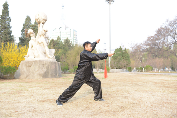 拳照