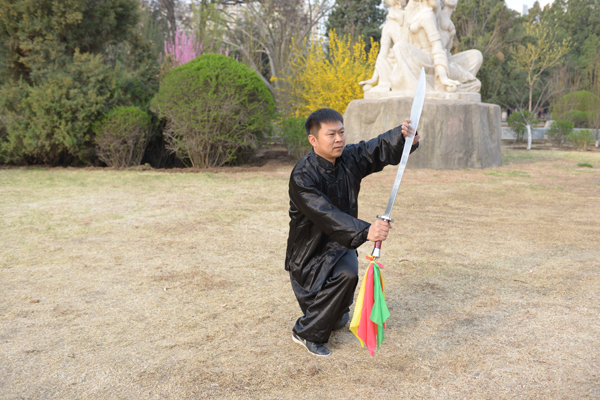 拳照