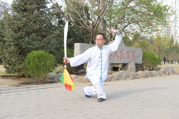 拳照