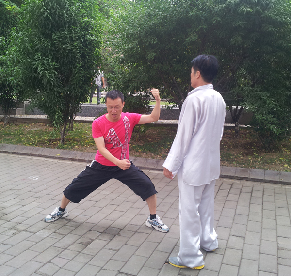 拳照