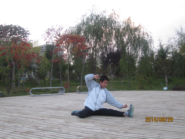 拳照