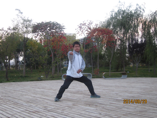 拳照