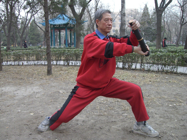 拳照