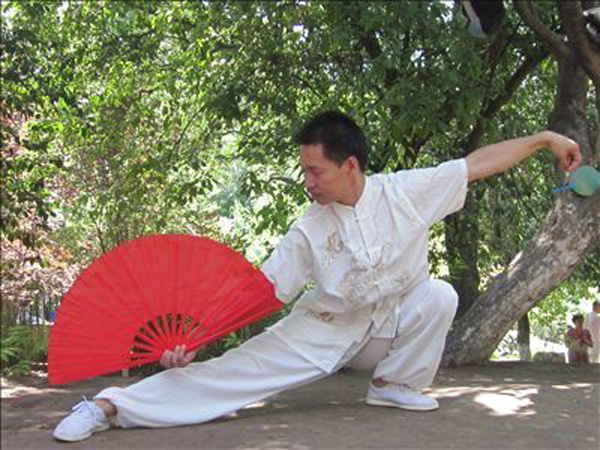 拳照