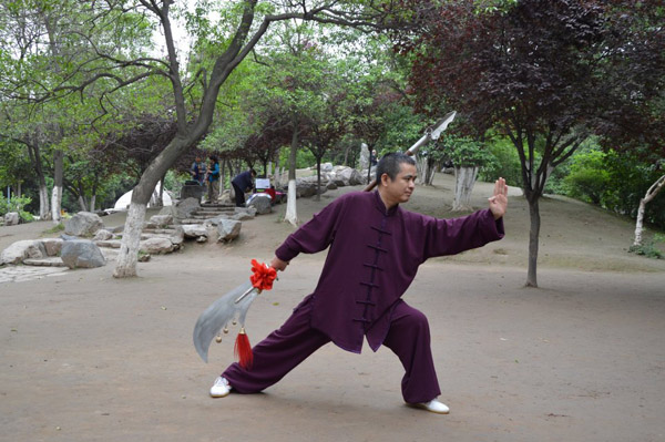 拳照