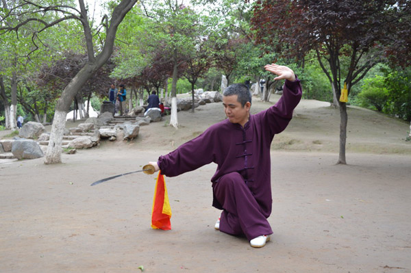 拳照