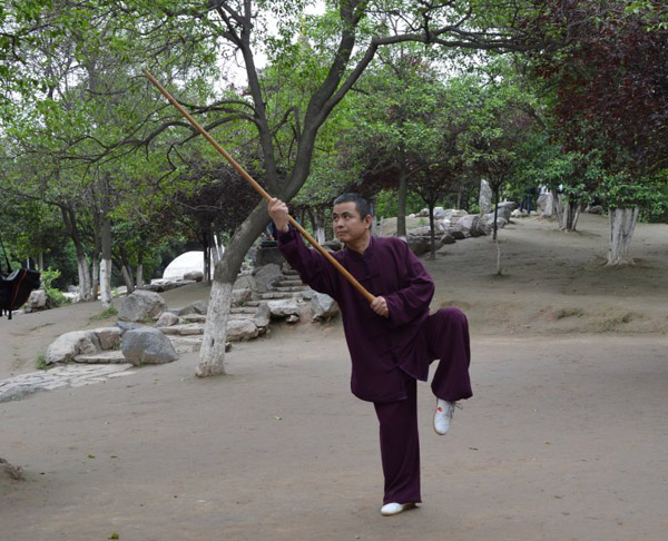 拳照