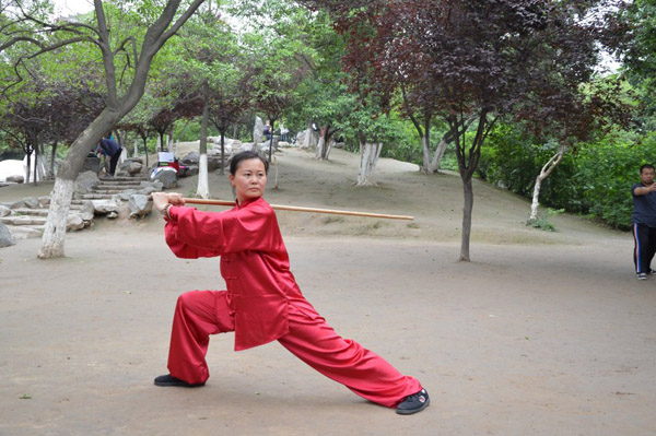 拳照