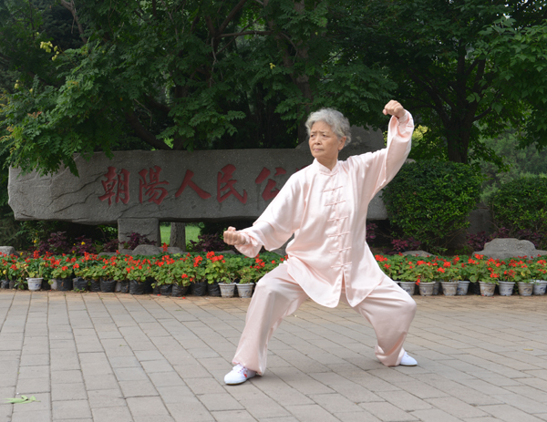 拳照
