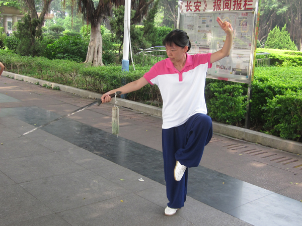 拳照
