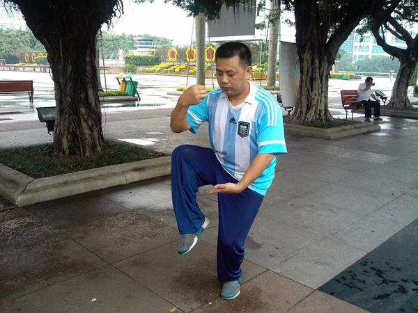 拳照
