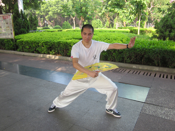 拳照