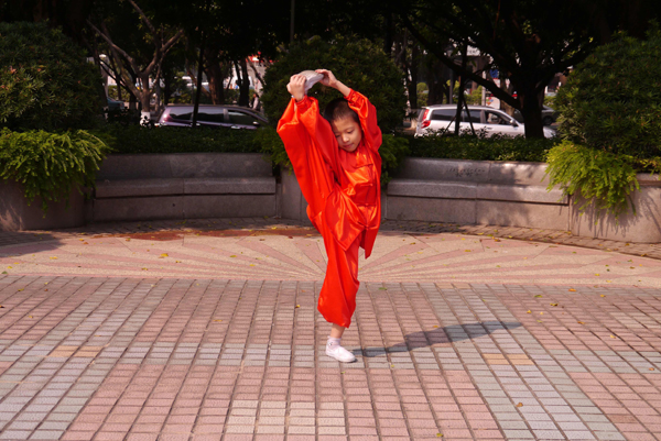 拳照