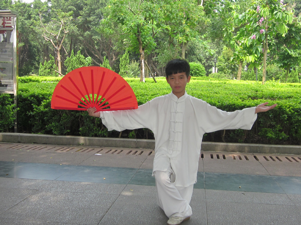 拳照