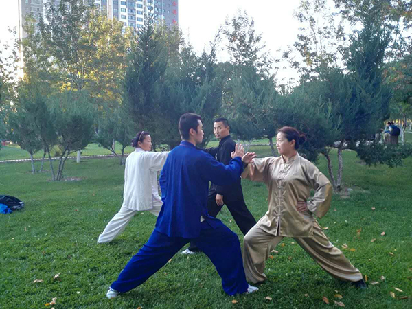 拳照
