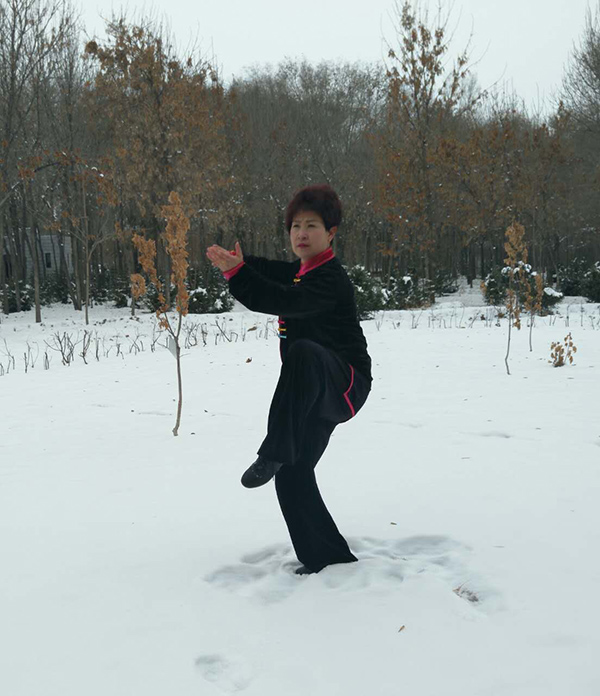 拳照