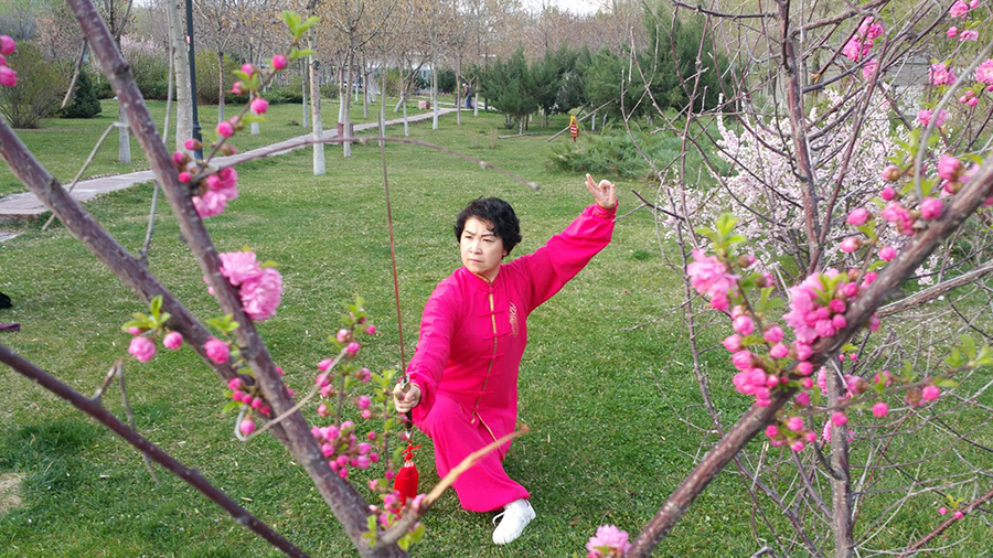 拳照