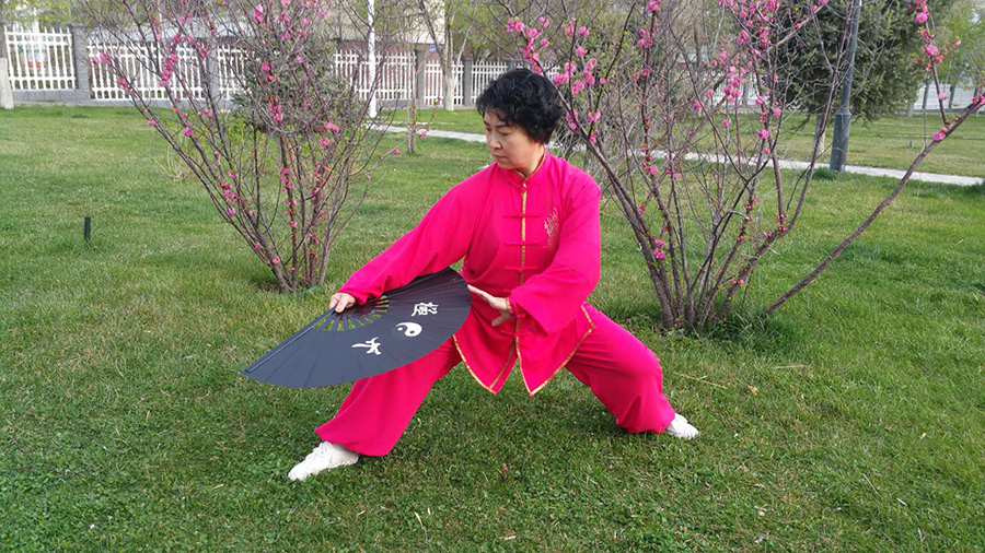 拳照