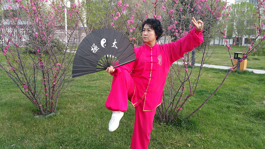 拳照
