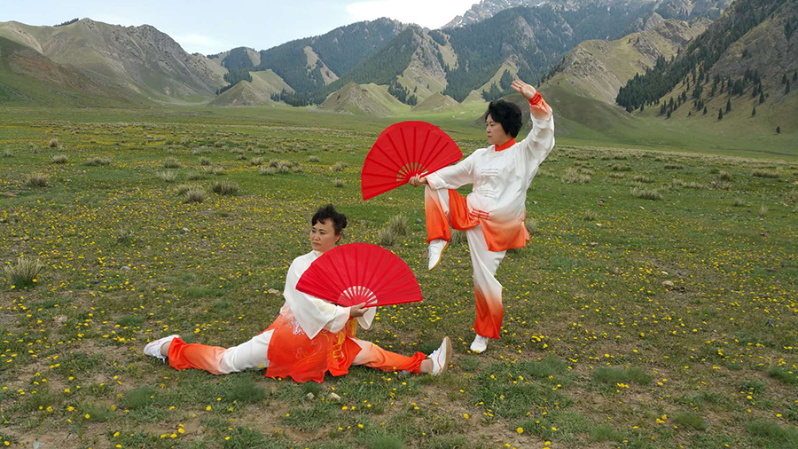 拳照