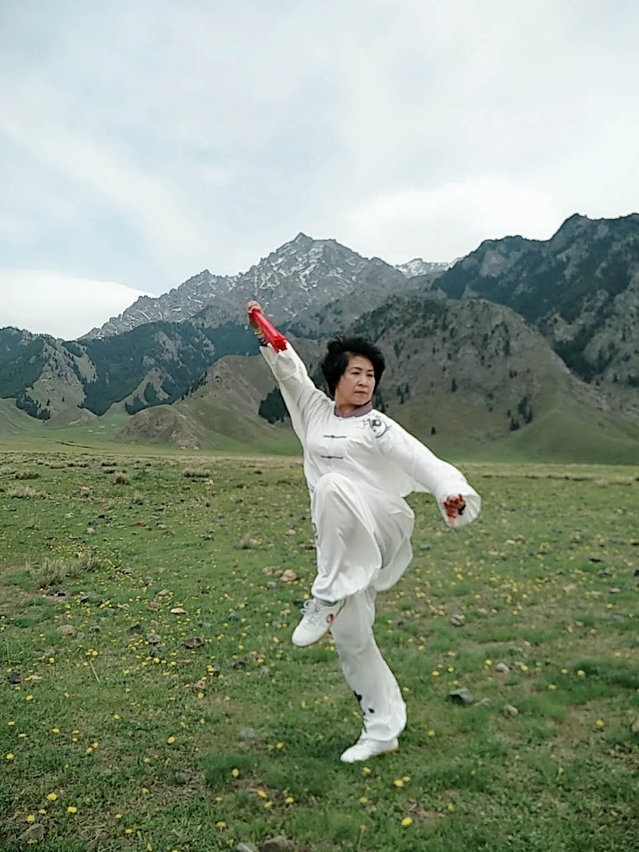 拳照