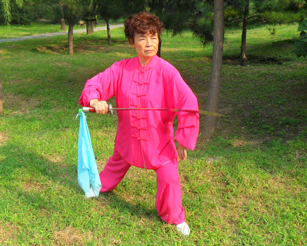 拳照